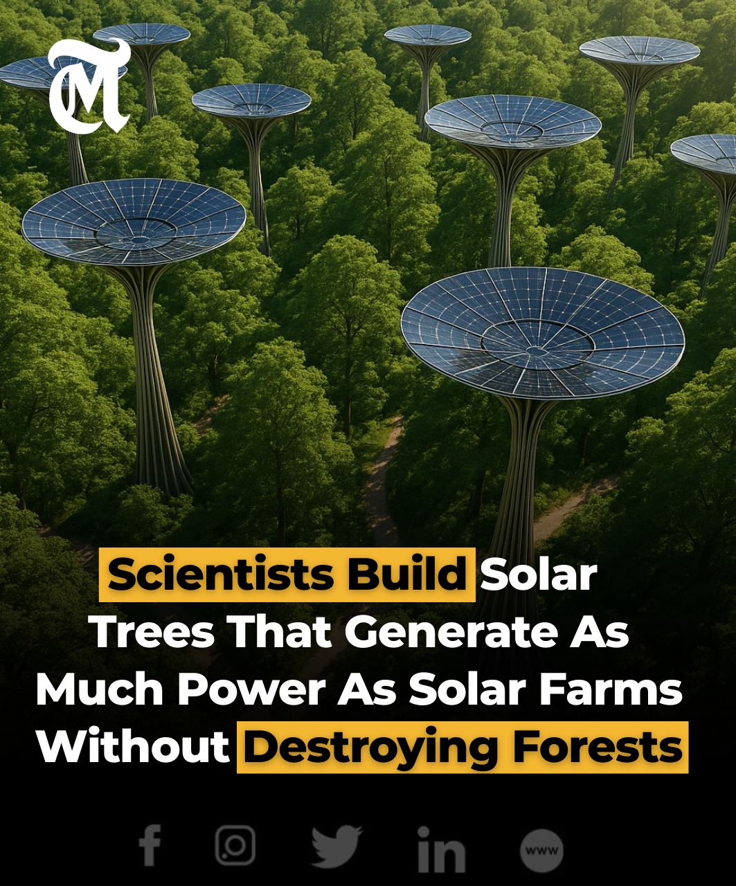 The MES - Korean researchers have developed tree-shaped solar arrays ...