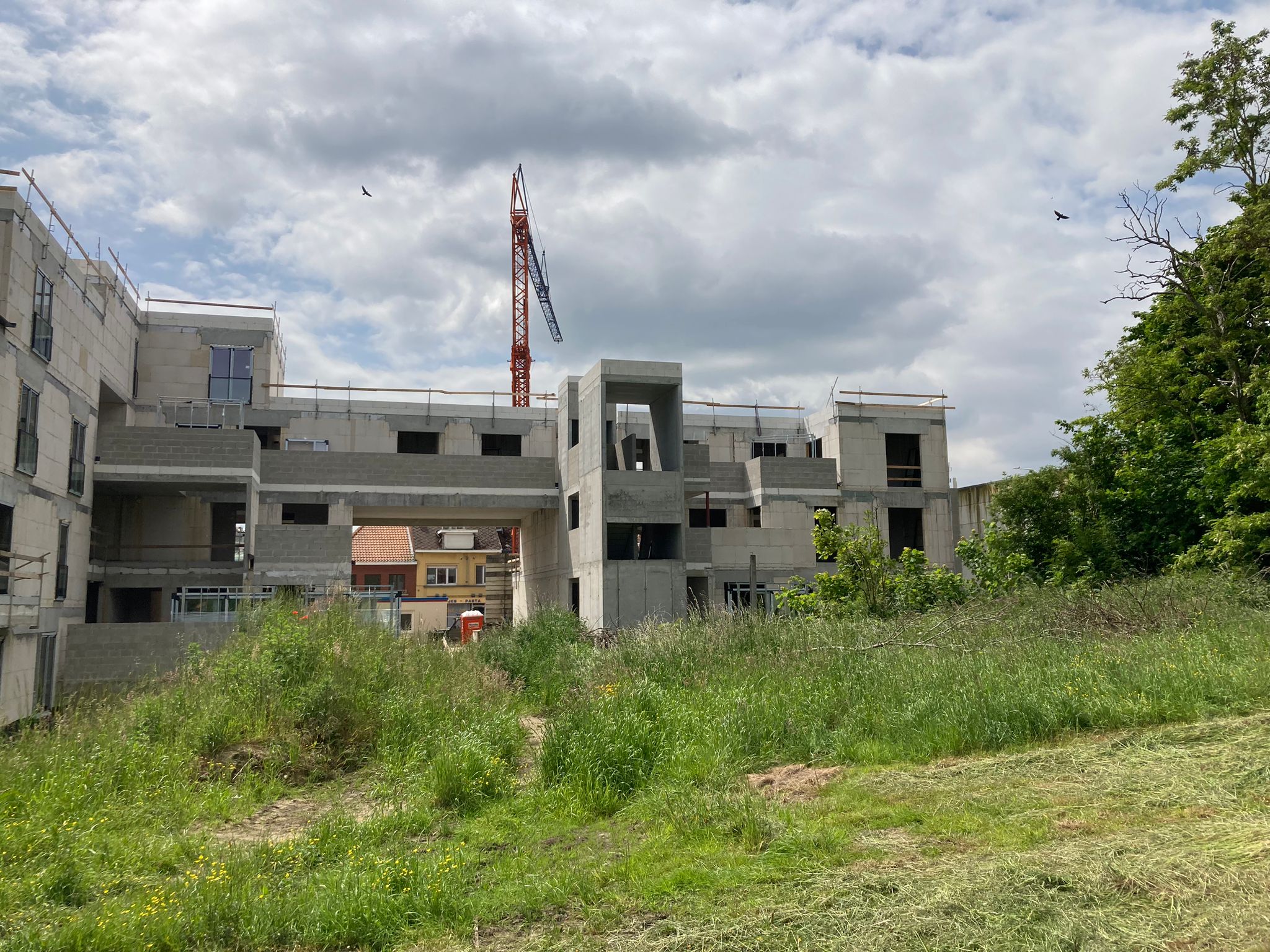 AEF Construct | Erps-Kwerps
