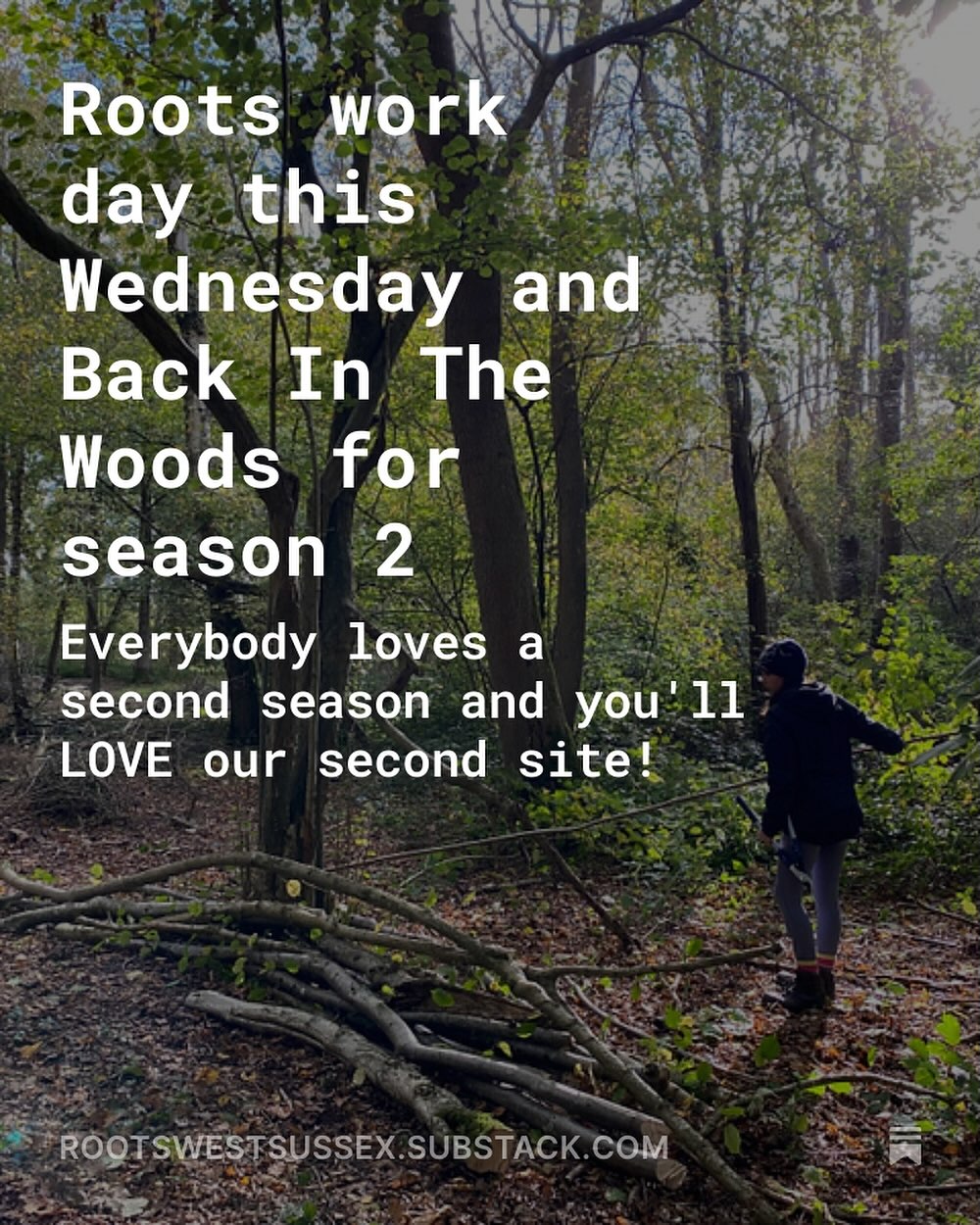 Roots CIC | Storrington