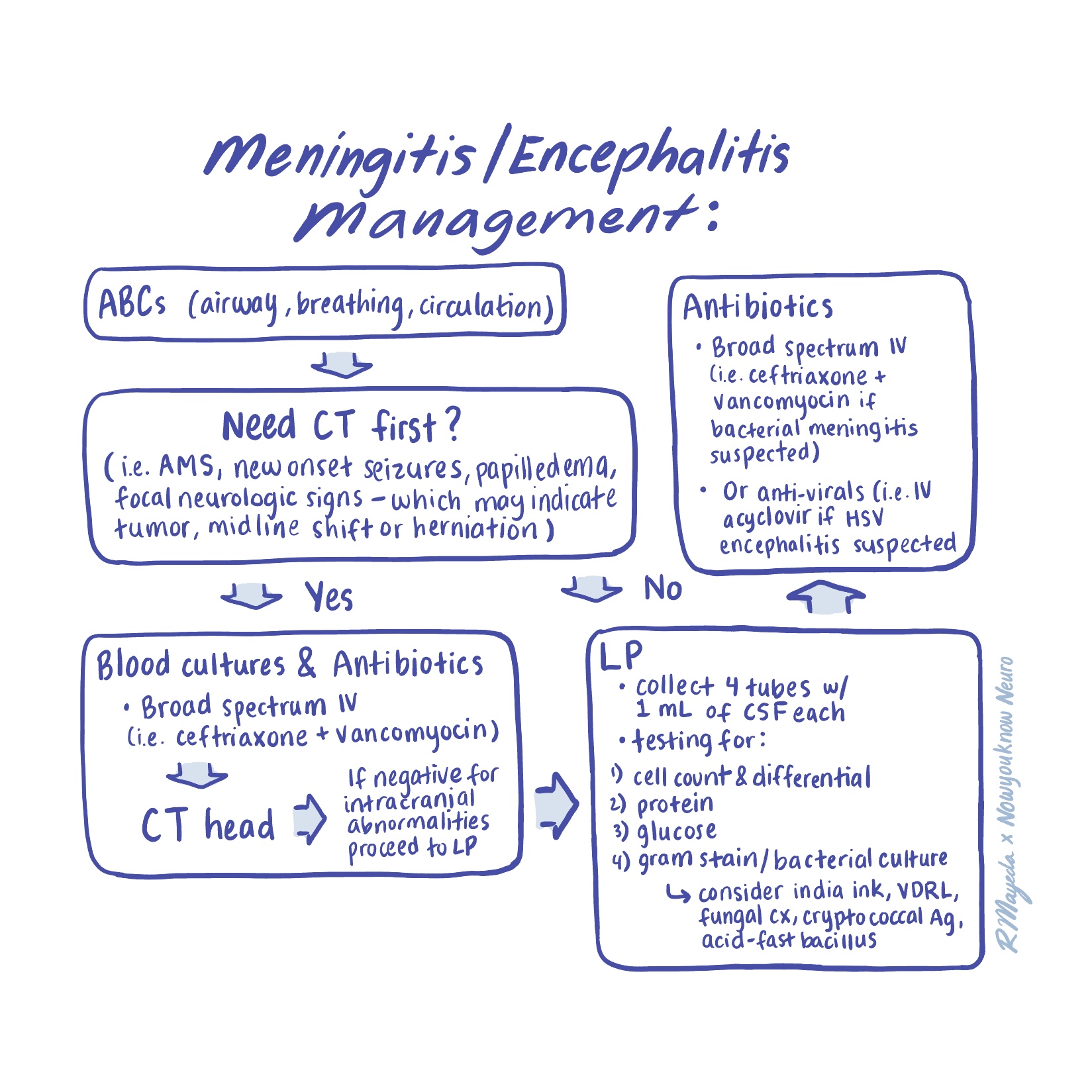 🧠 Meningitis Management: A Step-by-Step... - Nowyouknow Neuro | Facebook