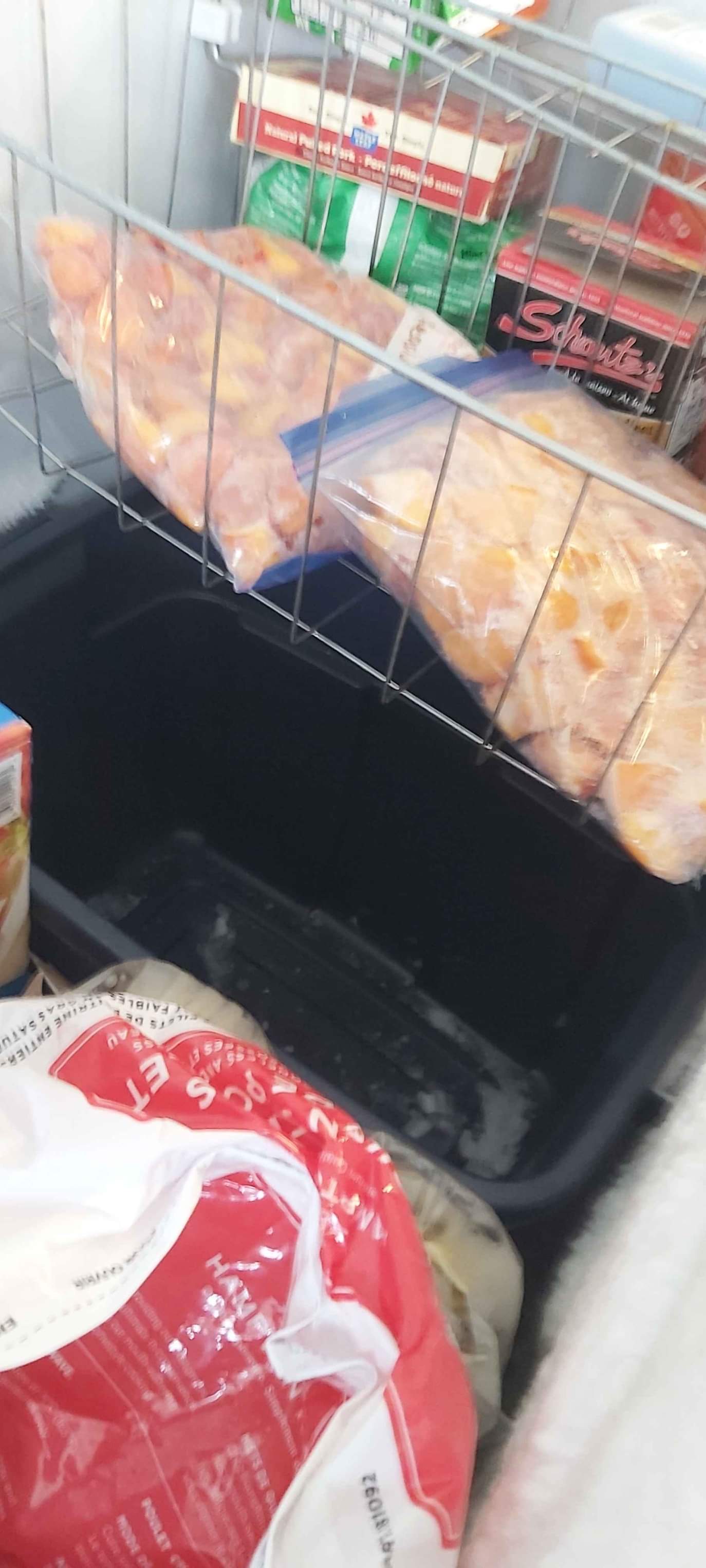 Large chest freezer Refrigerators & Freezers Kelowna, British