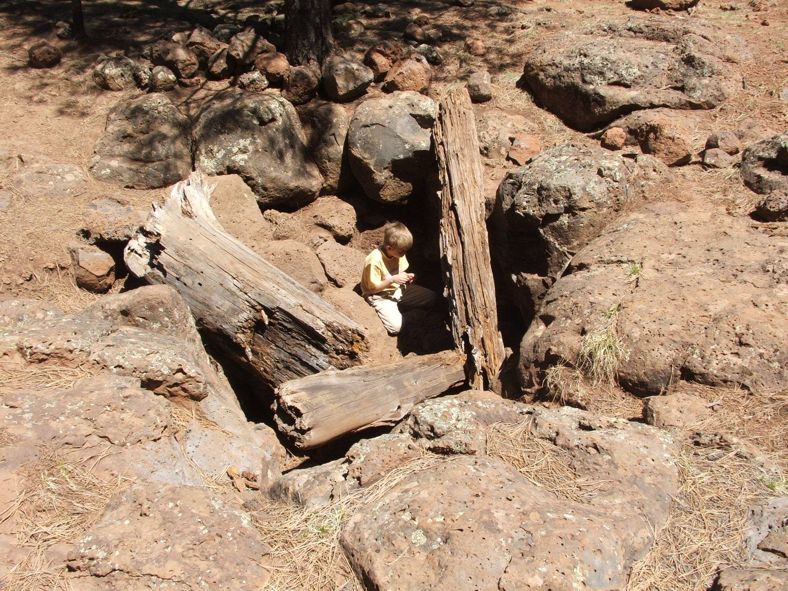 Whiting Homestead | Springerville AZ