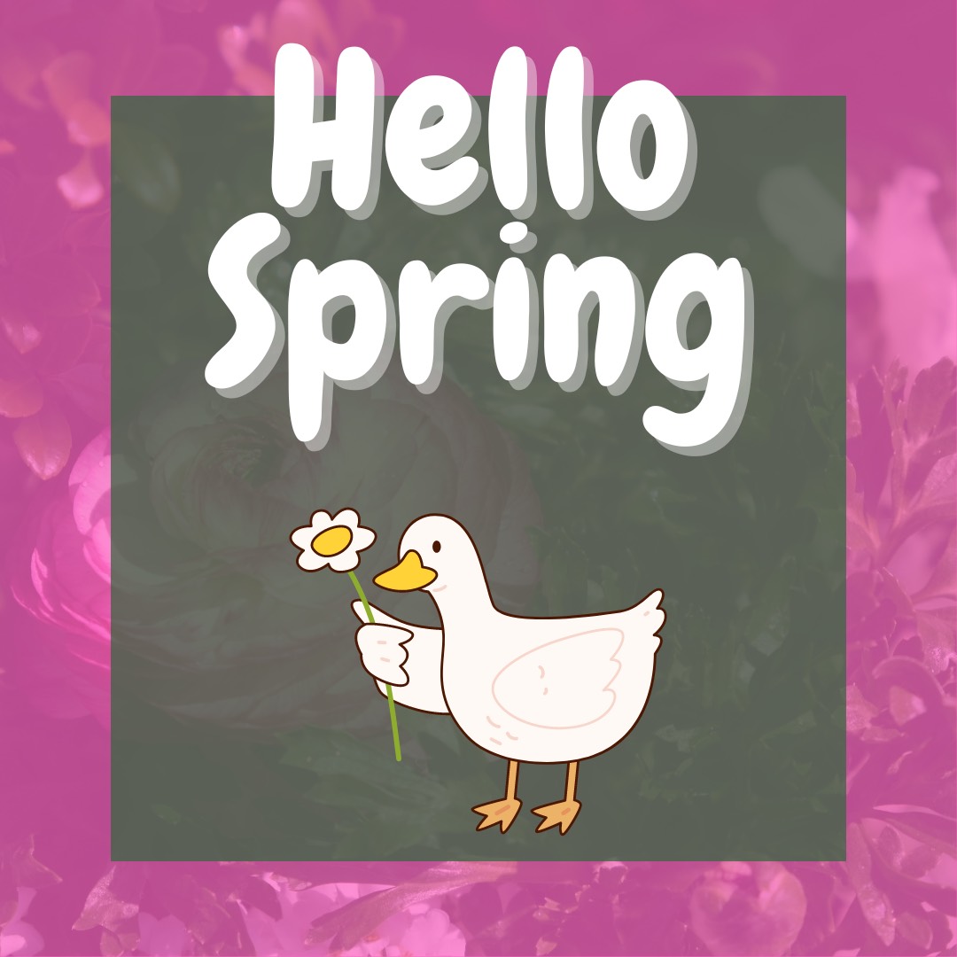 Ducktown AC - Happy First day of Spring! 🌼 #atlanticcity... | Facebook