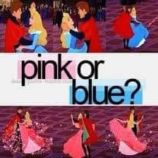 sleeping beauty pink blue dress Pink/Blue 5% spandex Disney Sleeping Beauty Aurora Pink