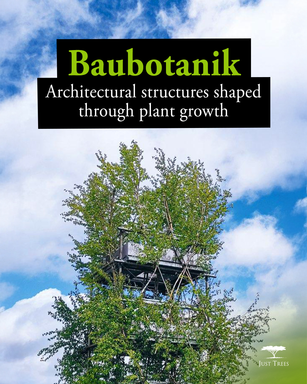 Just Trees - Imagine a building that grows stronger every... | Facebook