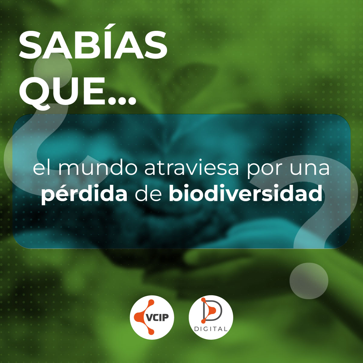 VCIP Soluciones México Oficial | Naucalpan
