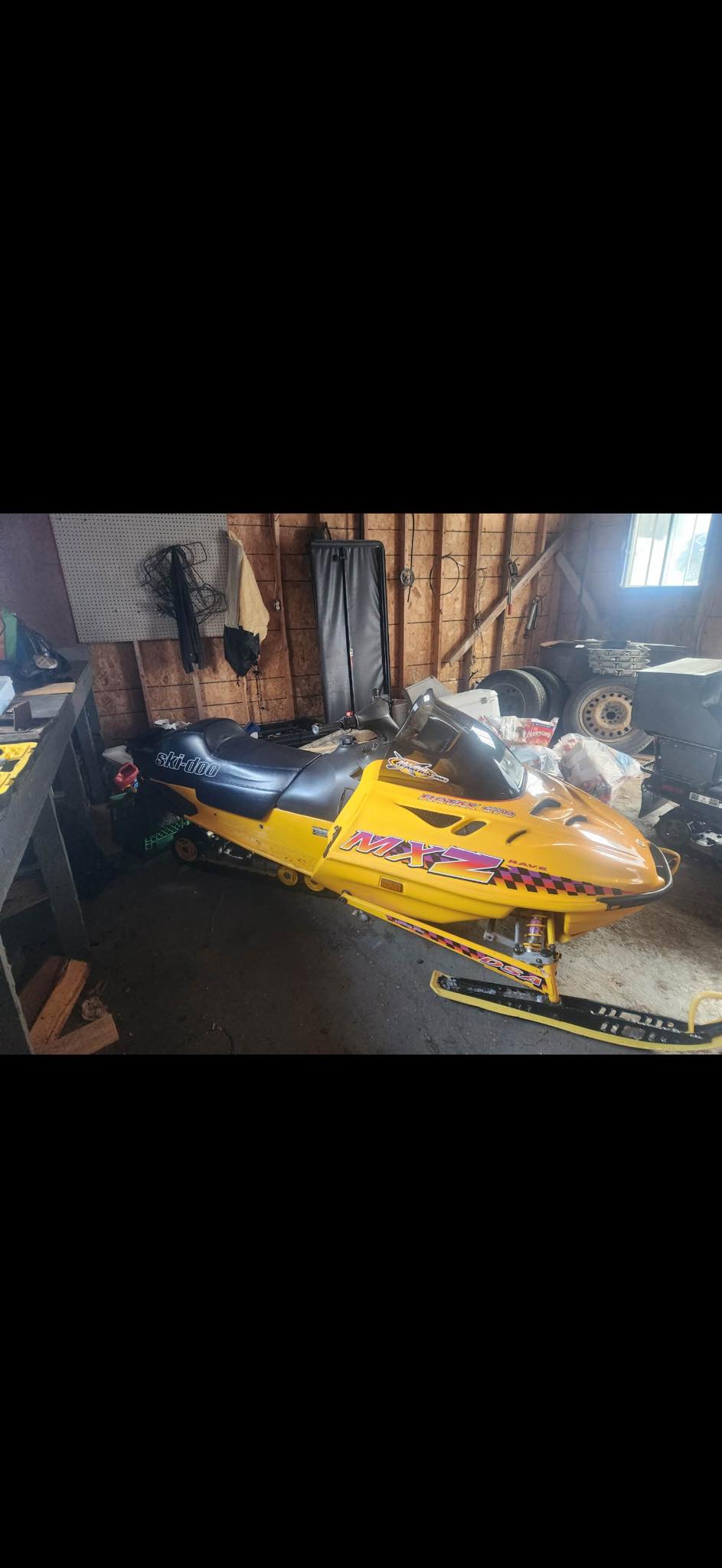 my new family！ 1989 KESTREL MXZ designed by Brent TRIMBLE