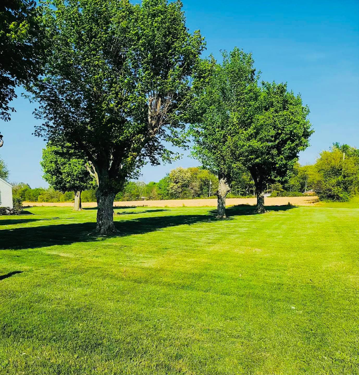 On TIme Lawn Care
