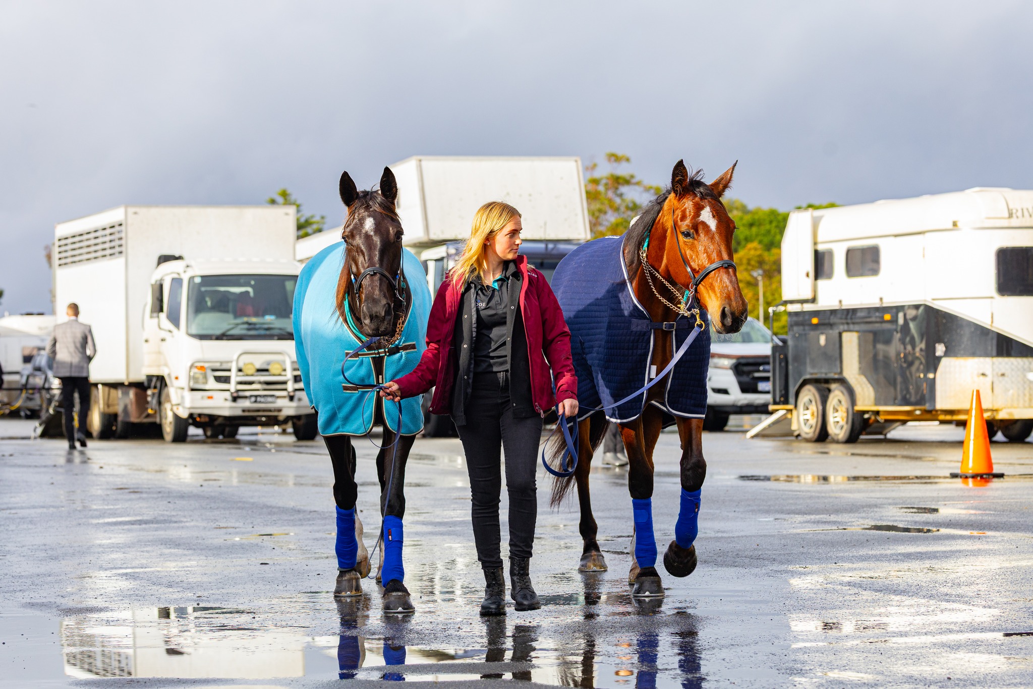 Racing WA Harness updated their cover... - Racing WA Harness