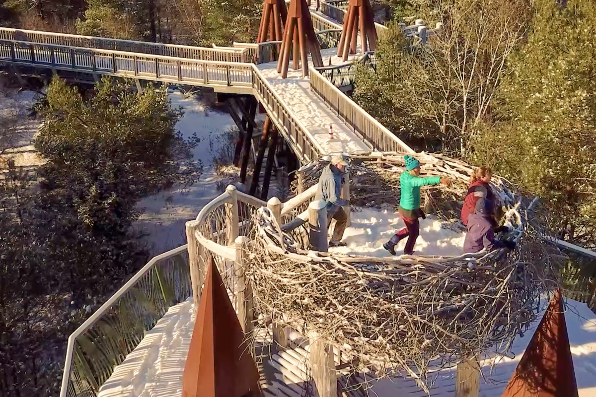 Adirondack - With a sprawling 115 acres of outdoor wonders, The Wild ...