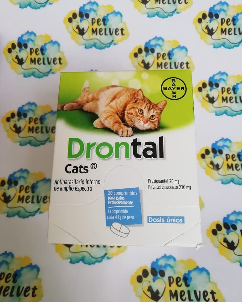 Pet Melvet - 🐈DRONTAL CATS🐈 ️Antiparasitario interno de... | Facebook
