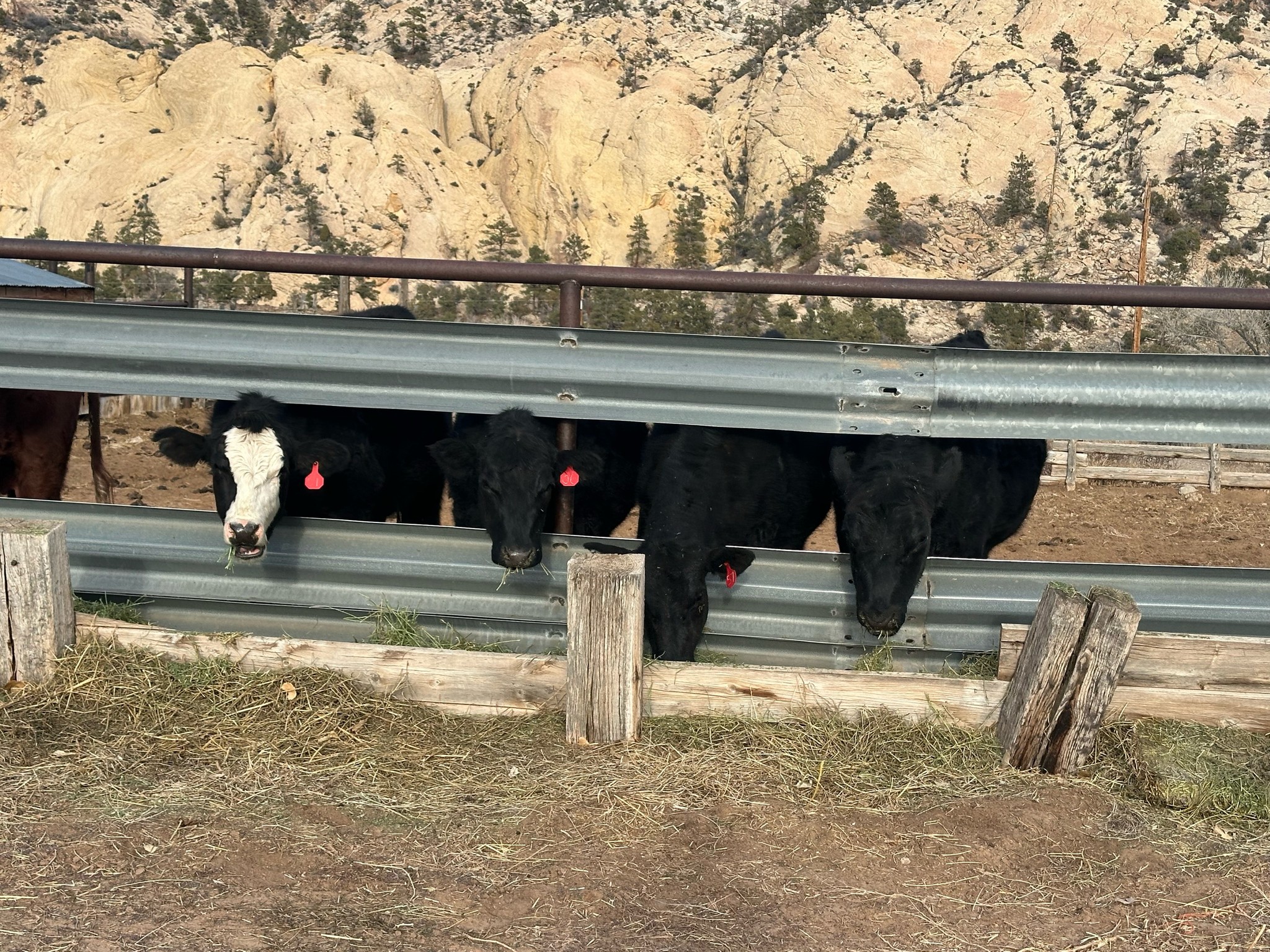 Turn-About Ranch