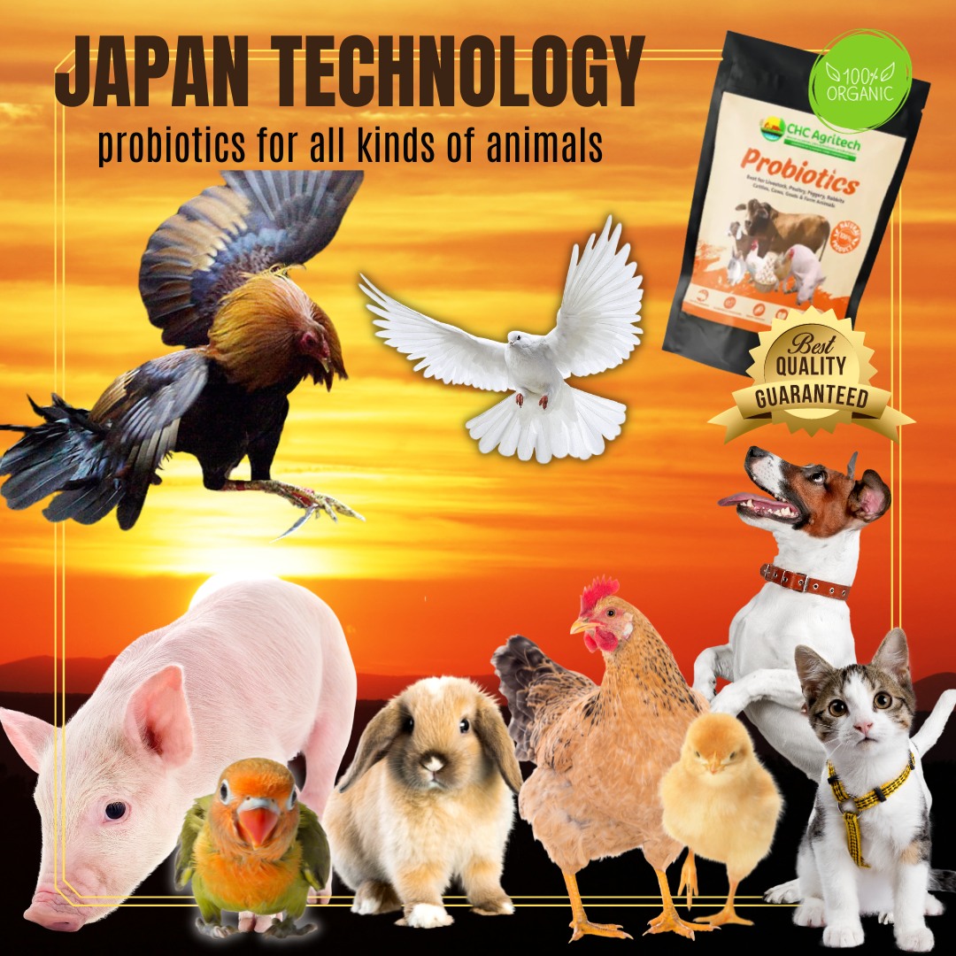 Japan Technology Probiotic | Taguig
