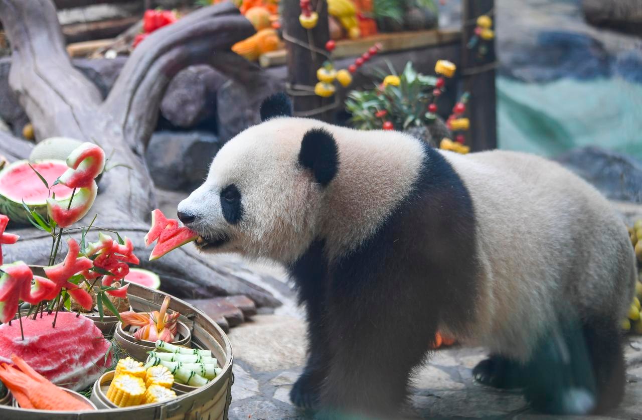 Rangkaian foto yang diabadikan pada 6... - China Xinhua News
