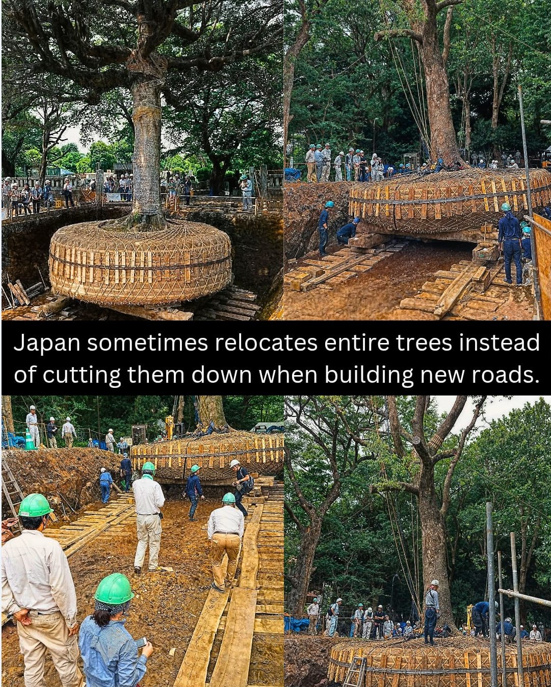 Ancient - In Japan, progress often walks hand in hand with reverence ...