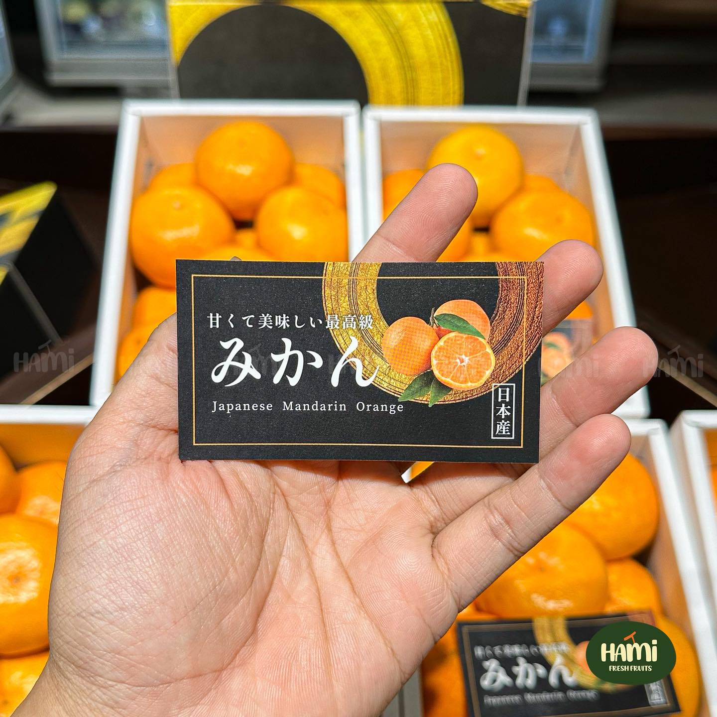 Japanese Mikan Gift Box 🇯🇵🍊 Mikan Gift Box from Wakayama
