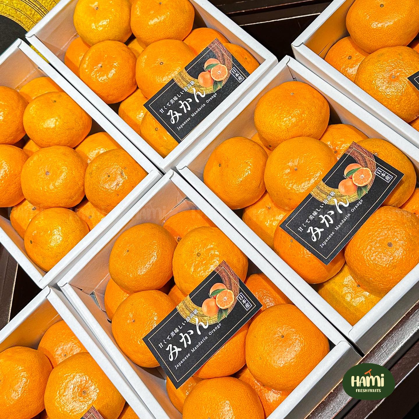 Japanese Mikan Gift Box 🇯🇵🍊 Mikan Gift Box from Wakayama