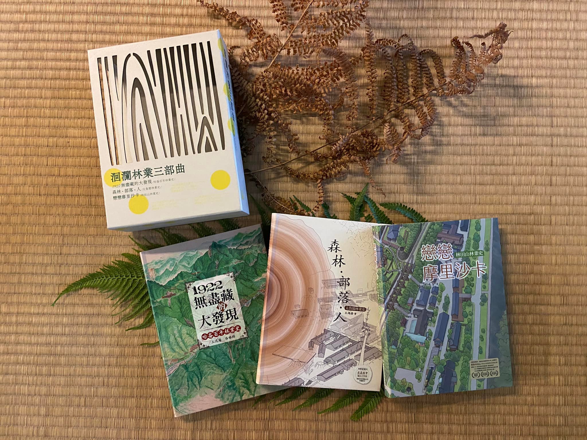 花蓮林業三部曲-《嵐山、哈崙、林田山》