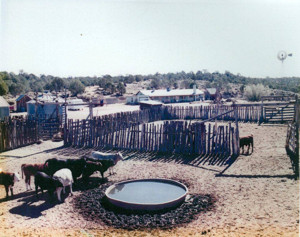 History & Beauty of the Arizona Strip - Wildcat Ranch, Arizona Strip ...
