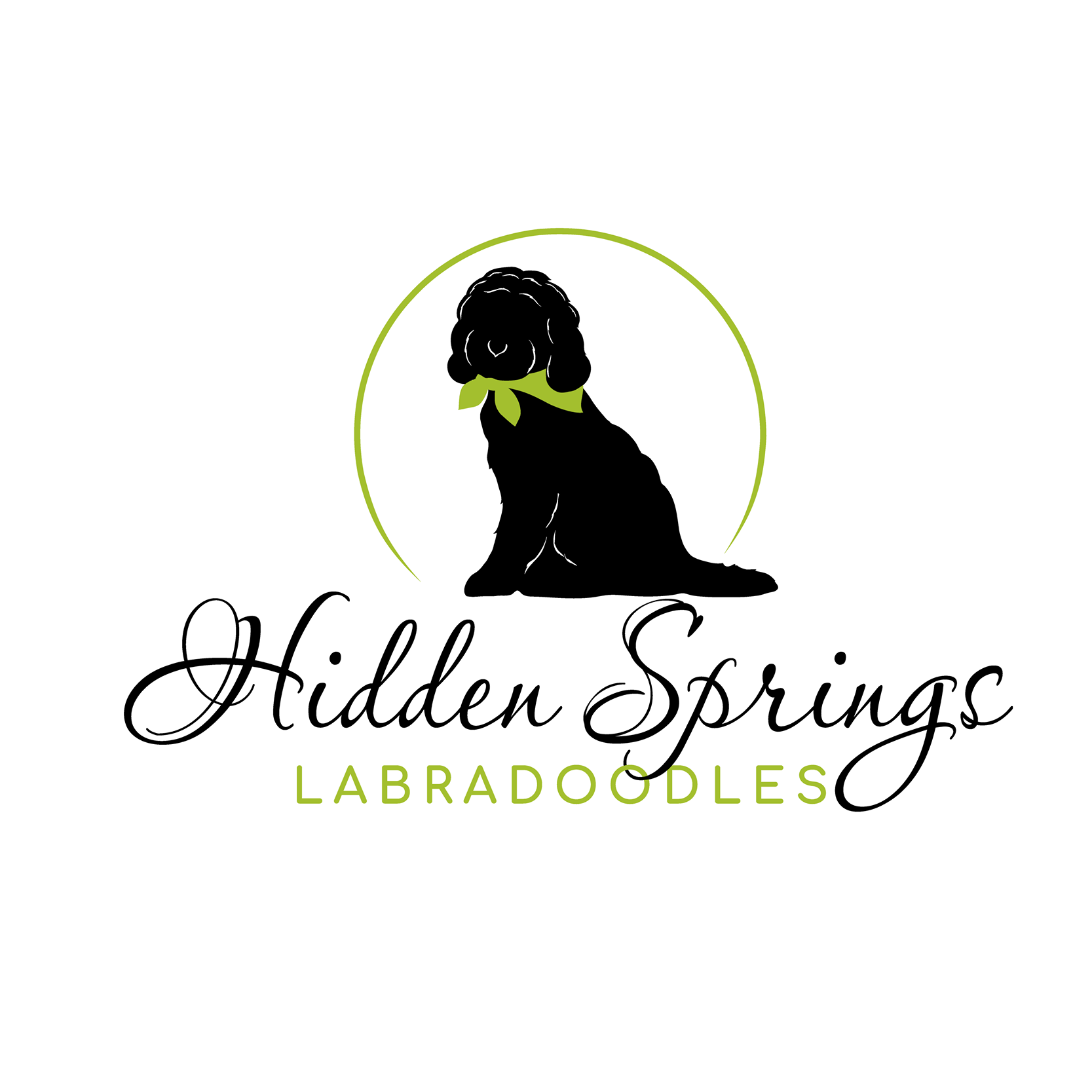 Hidden Springs... - Hidden Springs Australian Labradoodles