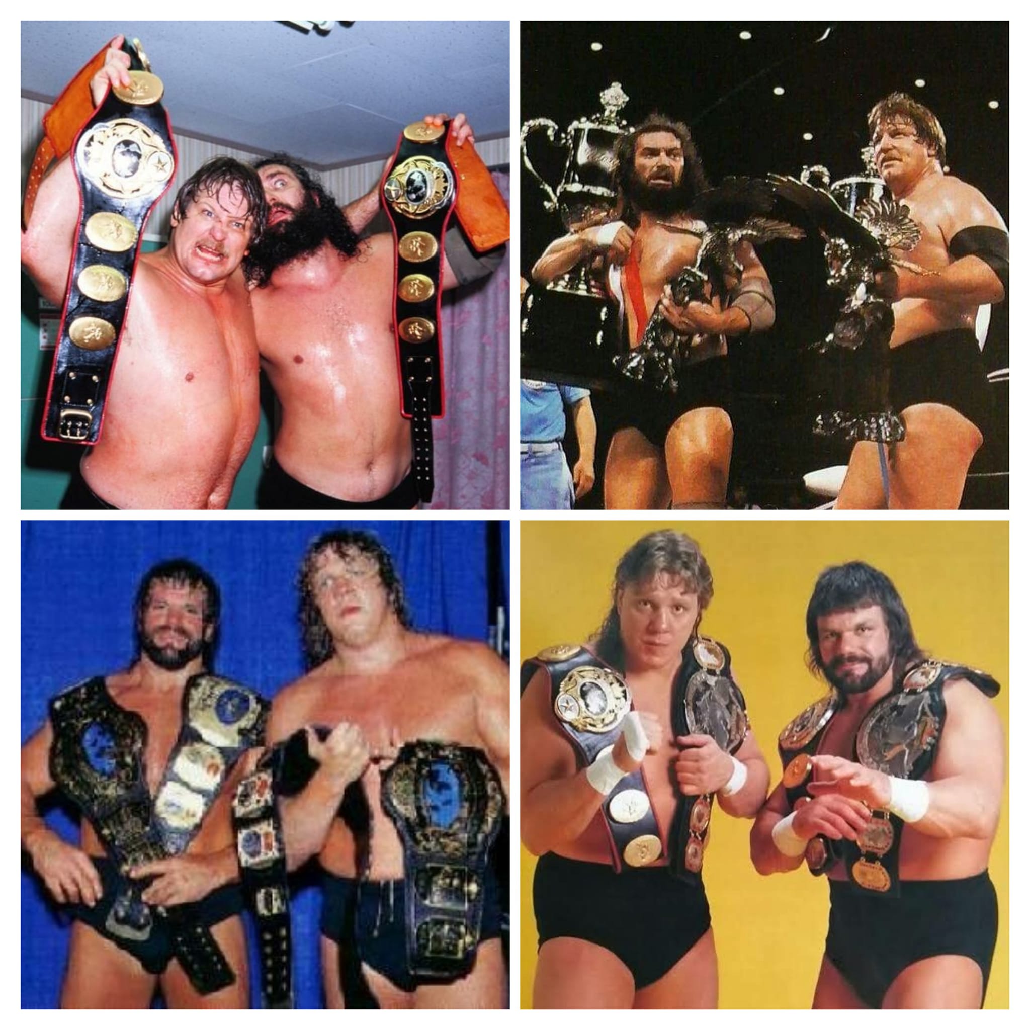 Who to choose as a tag team partner against Bruiser Brody and Stan 