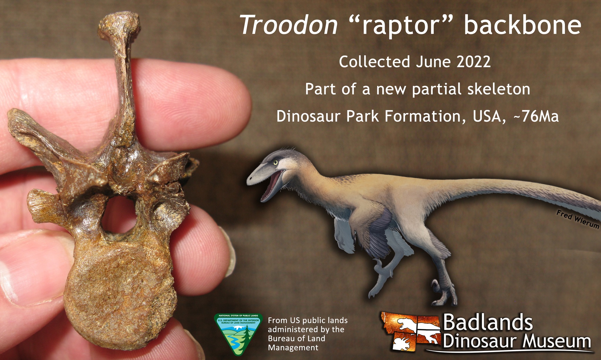 TROODON 