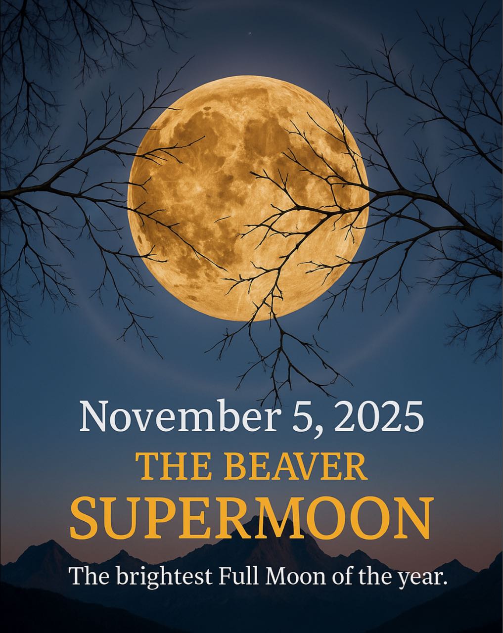 Plum - 🌕 November 5, 2025 — The Brightest Full Moon of the Year Behold ...