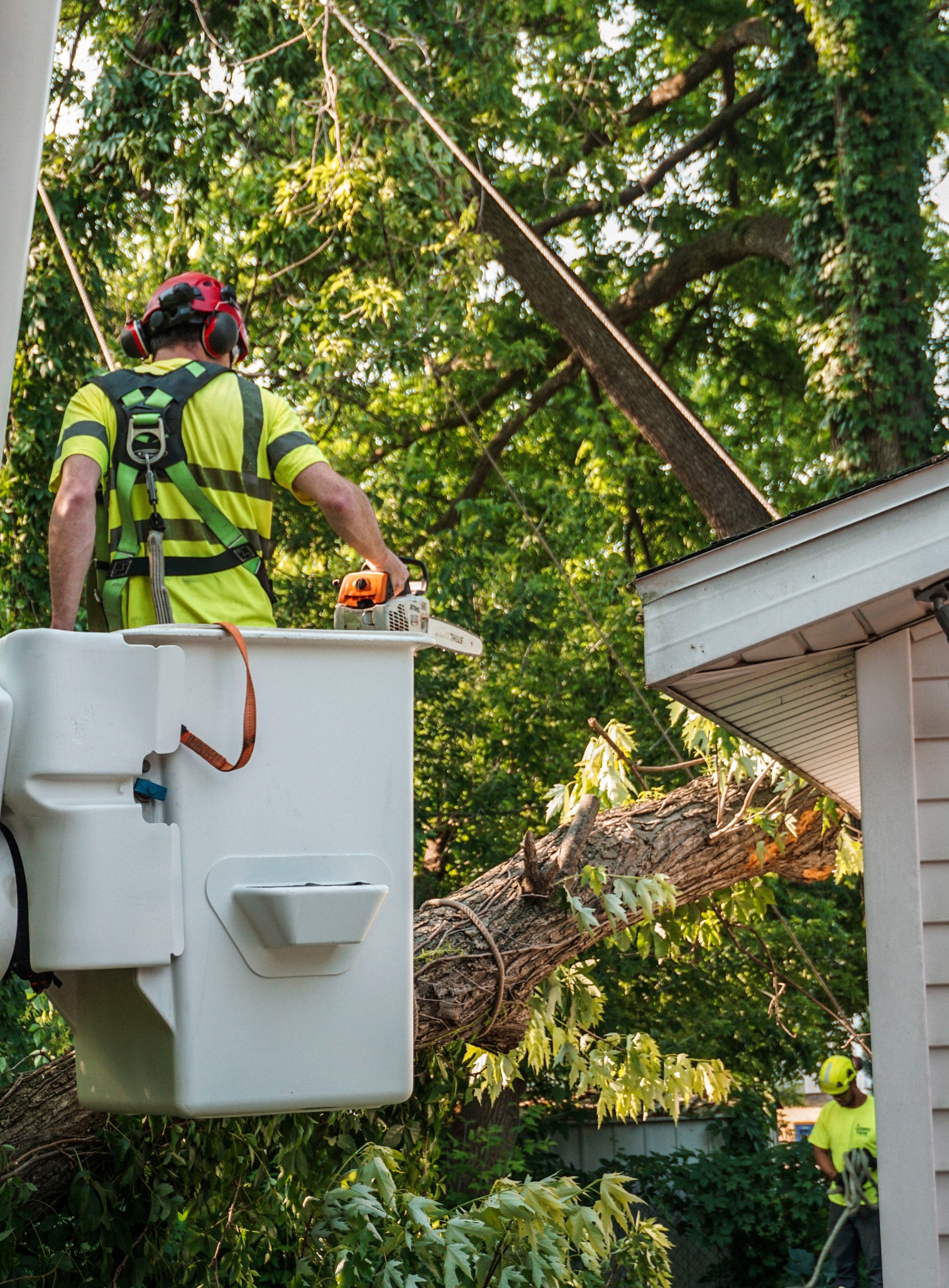 Always There Tree Care