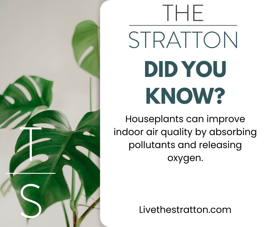 The Stratton - 🌟 Life at The Stratton 🌟 We’re proud to be... | Facebook