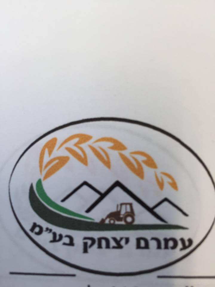 איקו עמרם