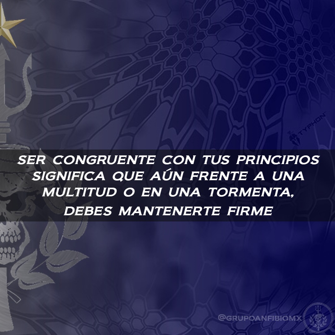 Grupo Anfibio - Los preceptos y el ideal del #PDMU son universales ...