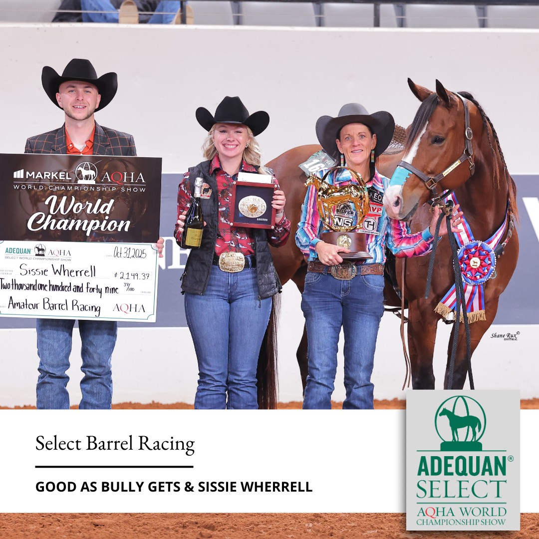 AQHA Showing - AQHA Showing added a new photo.