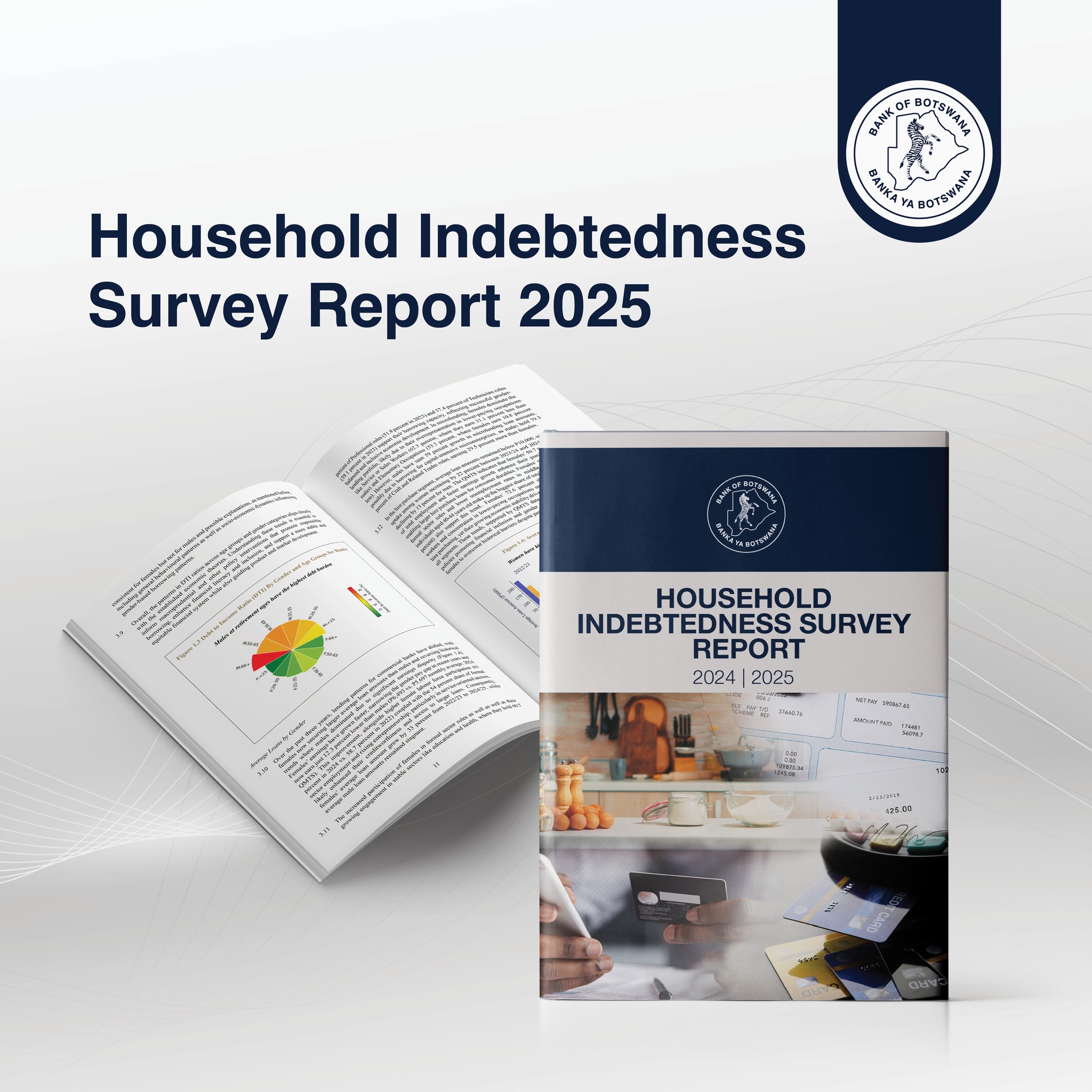 Bank - Household Indebtedness Survey Report 2025 This report summarises ...