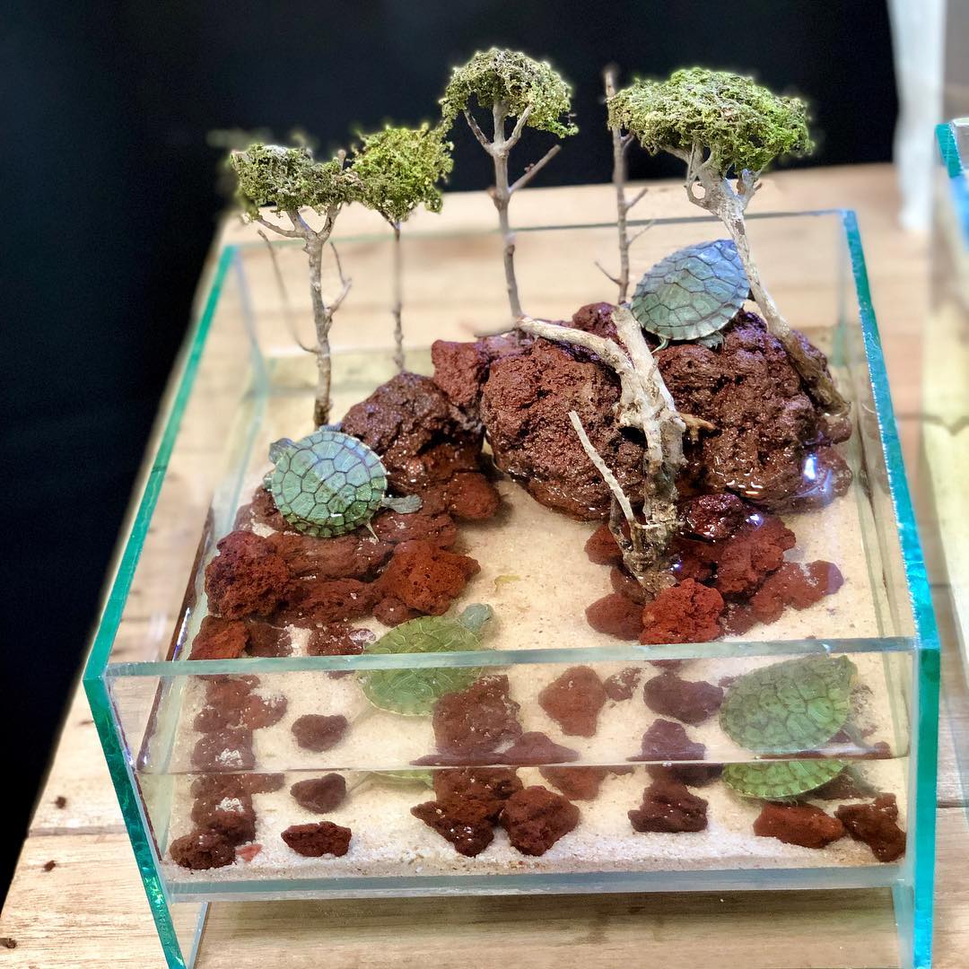 Rescape