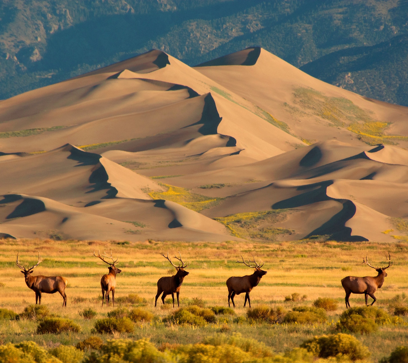 Have you heard a sand dune sing? When conditions are just right