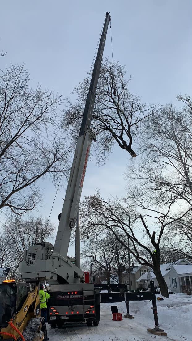 R&R Customs LLC Tree Removal & Stump Grinding | Brillion WI