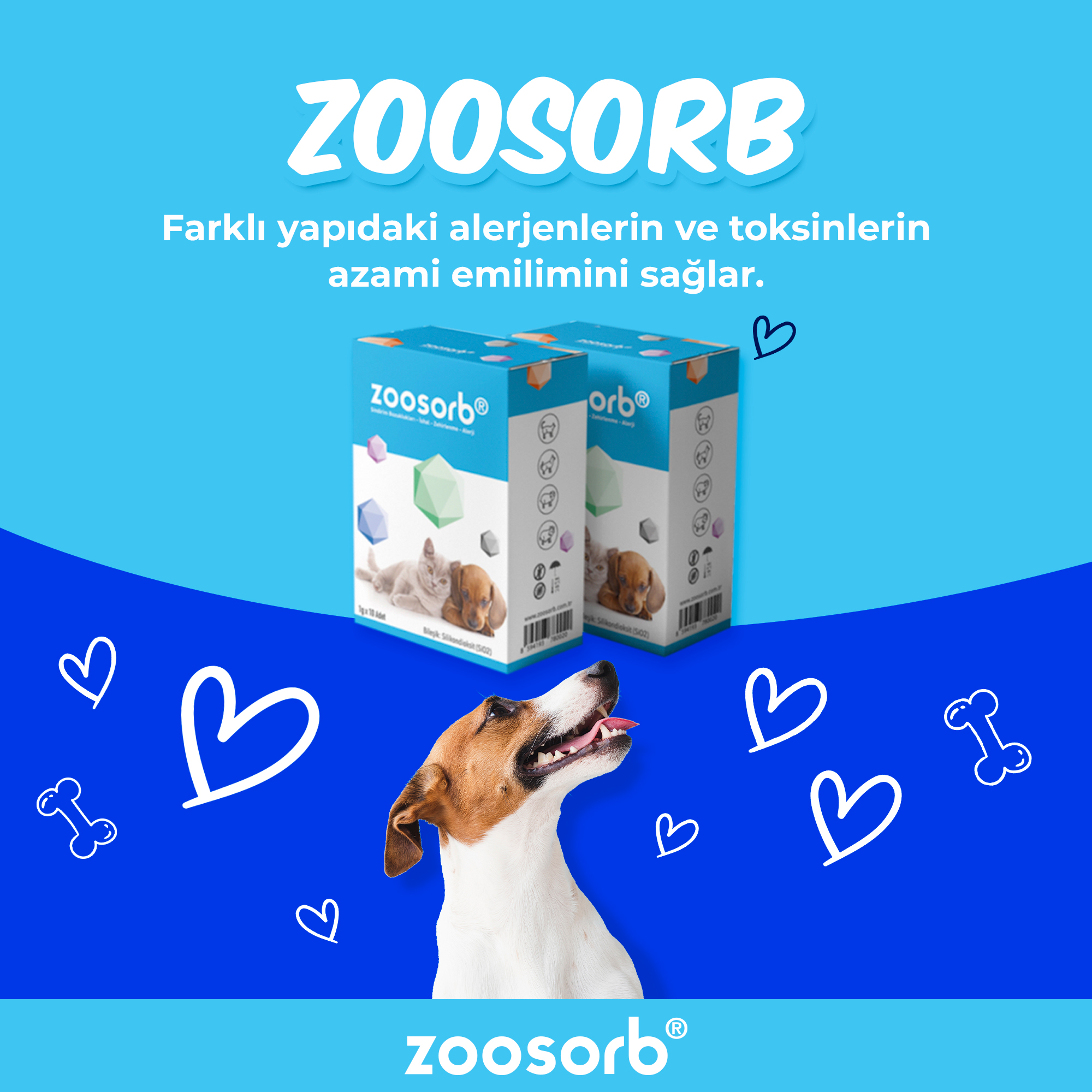 Zoosorb - Zoosorb, farklı yapıdaki alerjenlerin ve... | Facebook