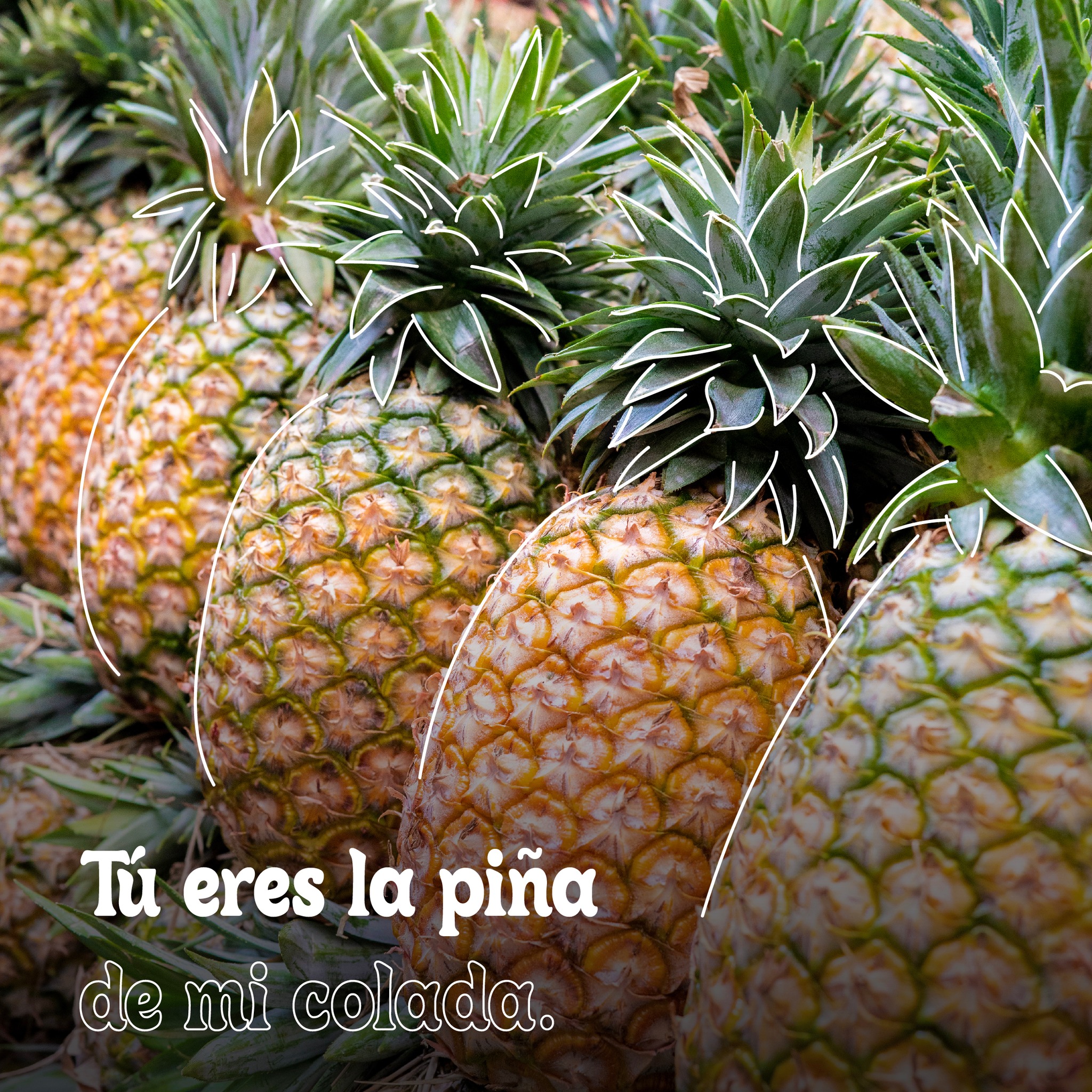 Frutas Aida - Etiqueta a la persona que es la piña de tu... | Facebook