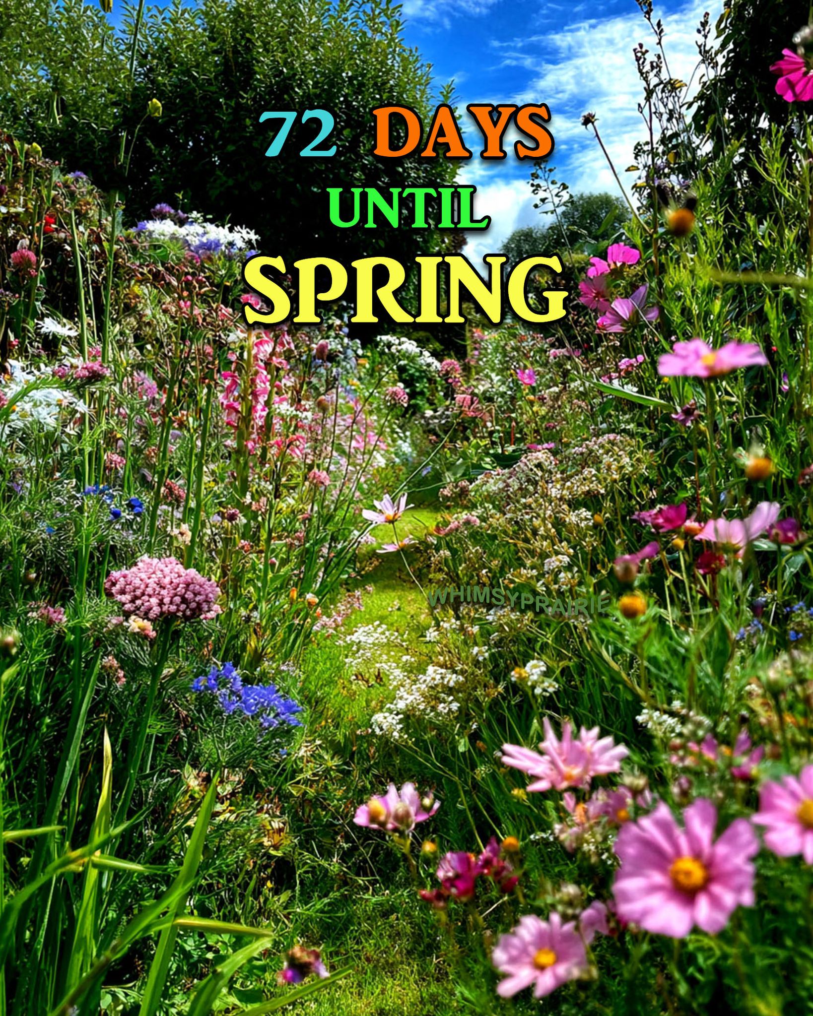 Whimsy - 72 Days...🪻🥀🌷🐦👒 #SpringCountdown | Facebook
