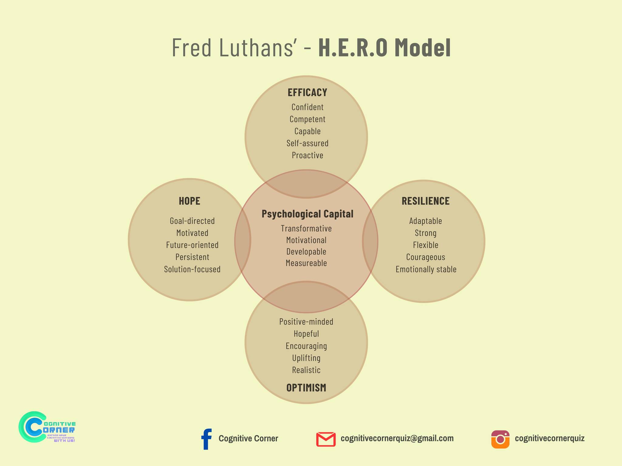 The HERO model explains 4 important... - Cognitive Corner | Facebook