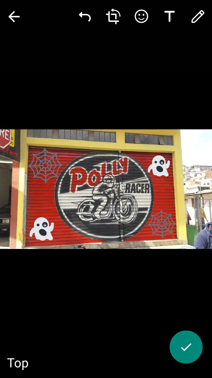 Polly Racer | Franco da Rocha SP