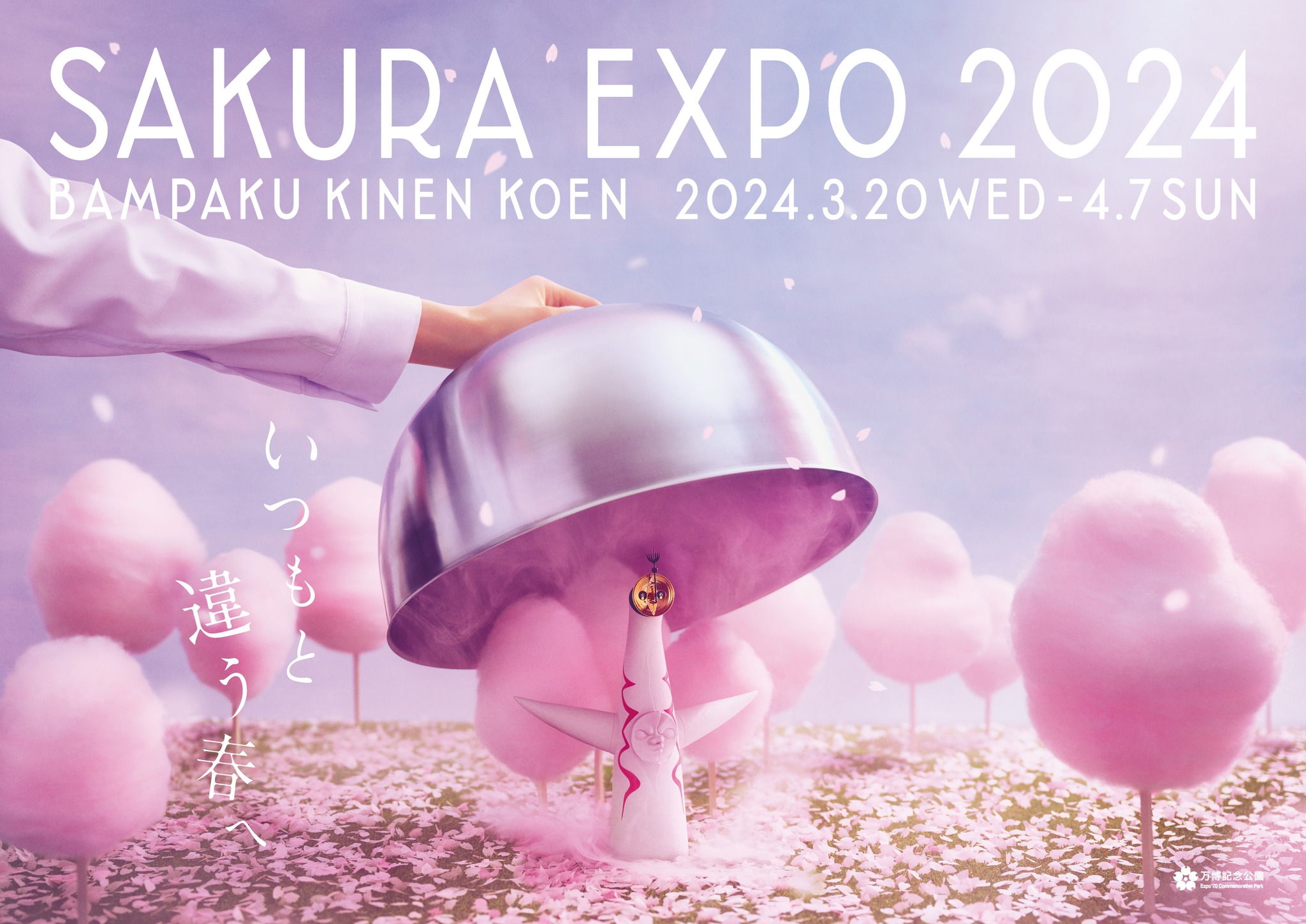 🌸『SAKURA EXPO』情報🌸 開催まで2週間を切った『SAKURA EXPO