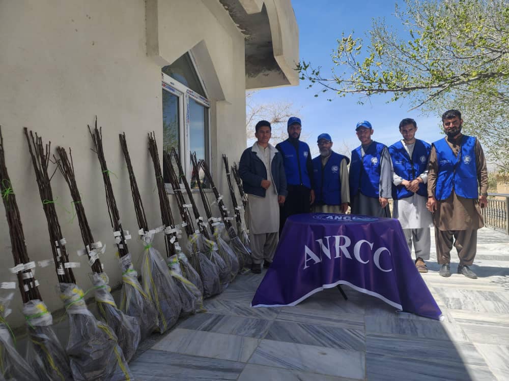 Afghanistan National Re-Construction Coordination (ANCC) | Quatá SP