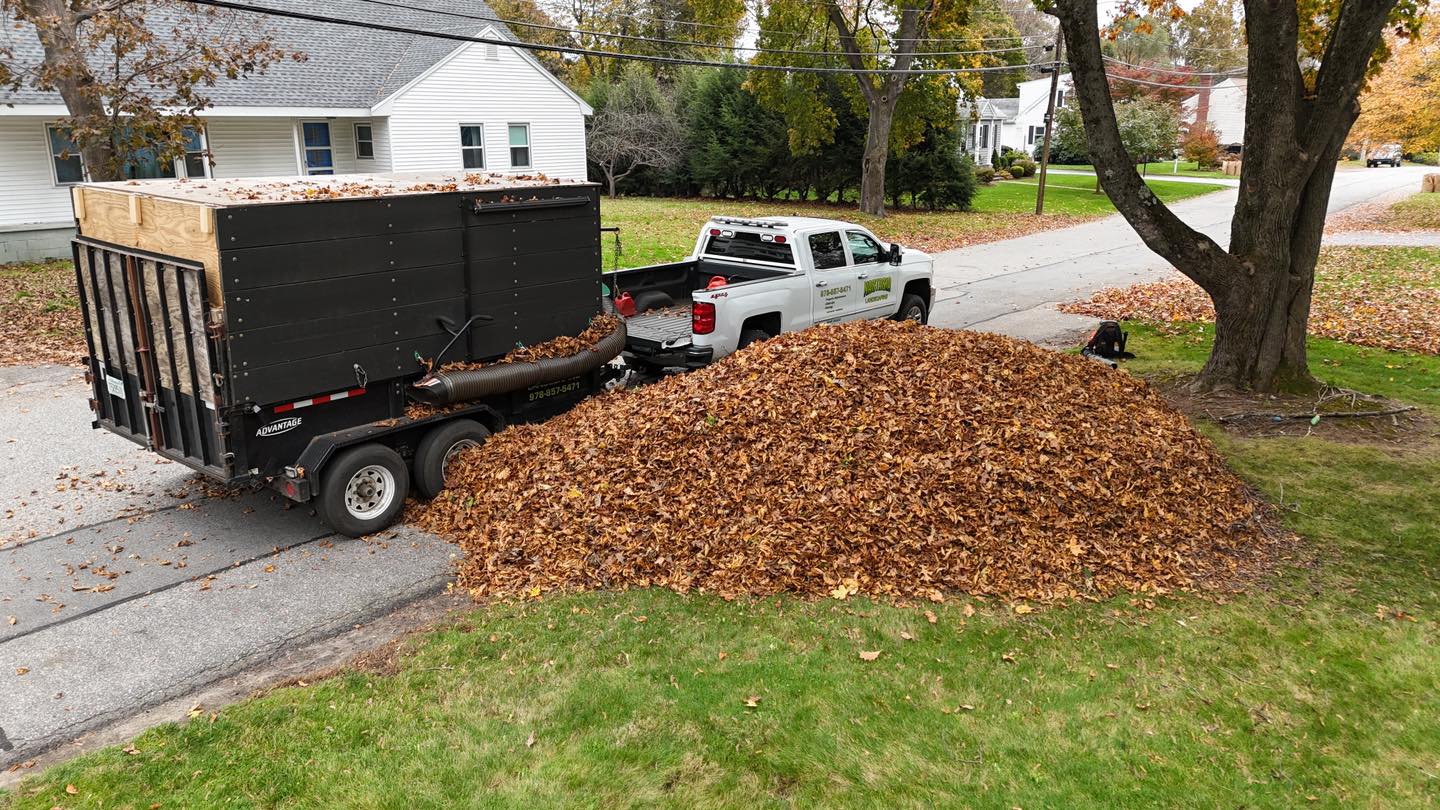 One of the small cleanup piles 🫣🍁... - Nastasia Landscaping | Facebook