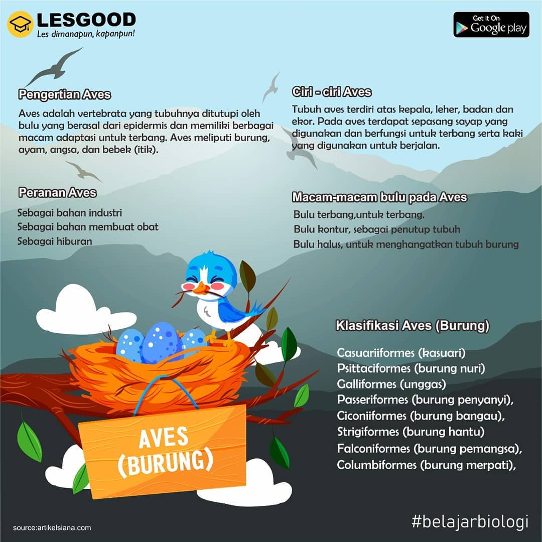 Lesgood Indonesia Home Facebook