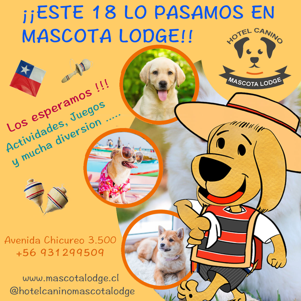 Mascota Lodge | Santiago