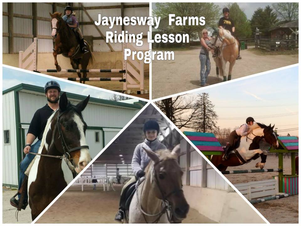 Jaynesway Farm Official Site - Jaynesway Farms offers horseback riding ...