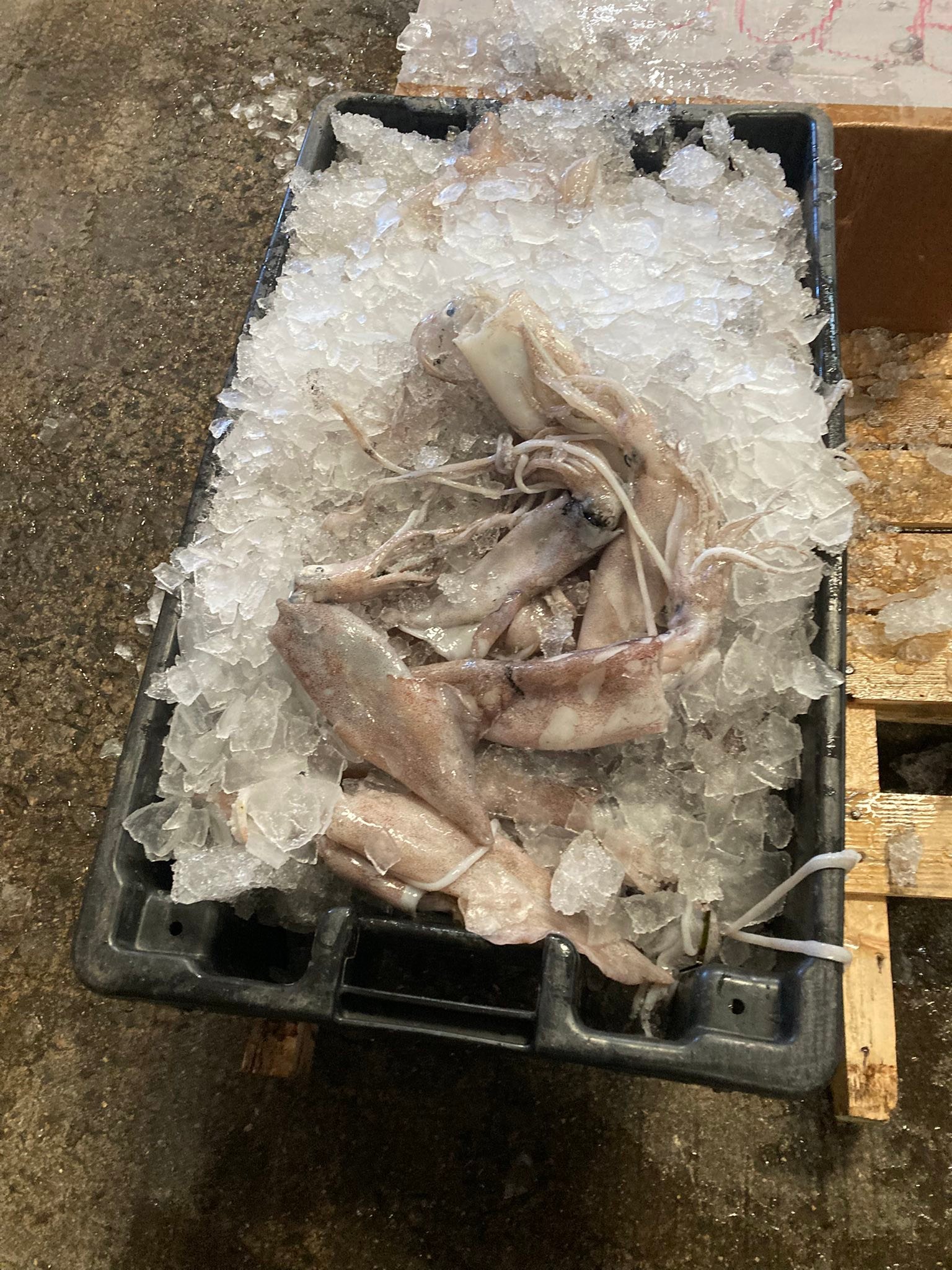 The Belford... - The Belford Seafood Co-Op Fish Market