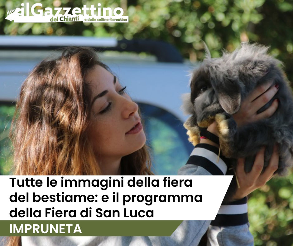 🐂🦙🐎🐓... - Il Gazzettino del Chianti e delle colline fiorentine | Facebook