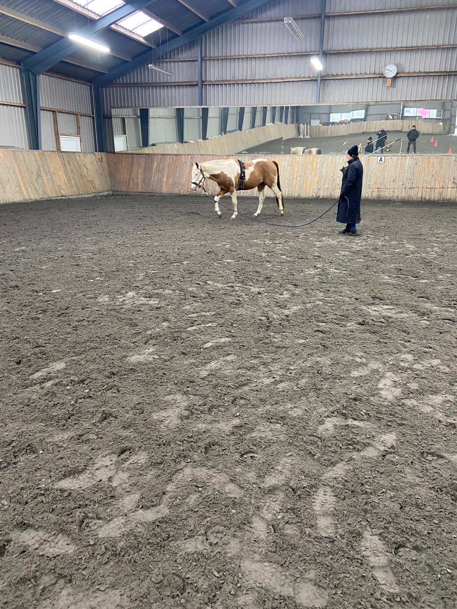 Danish Horse Academy